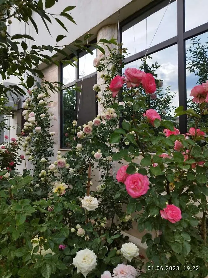 Dream Villa Tbilisi