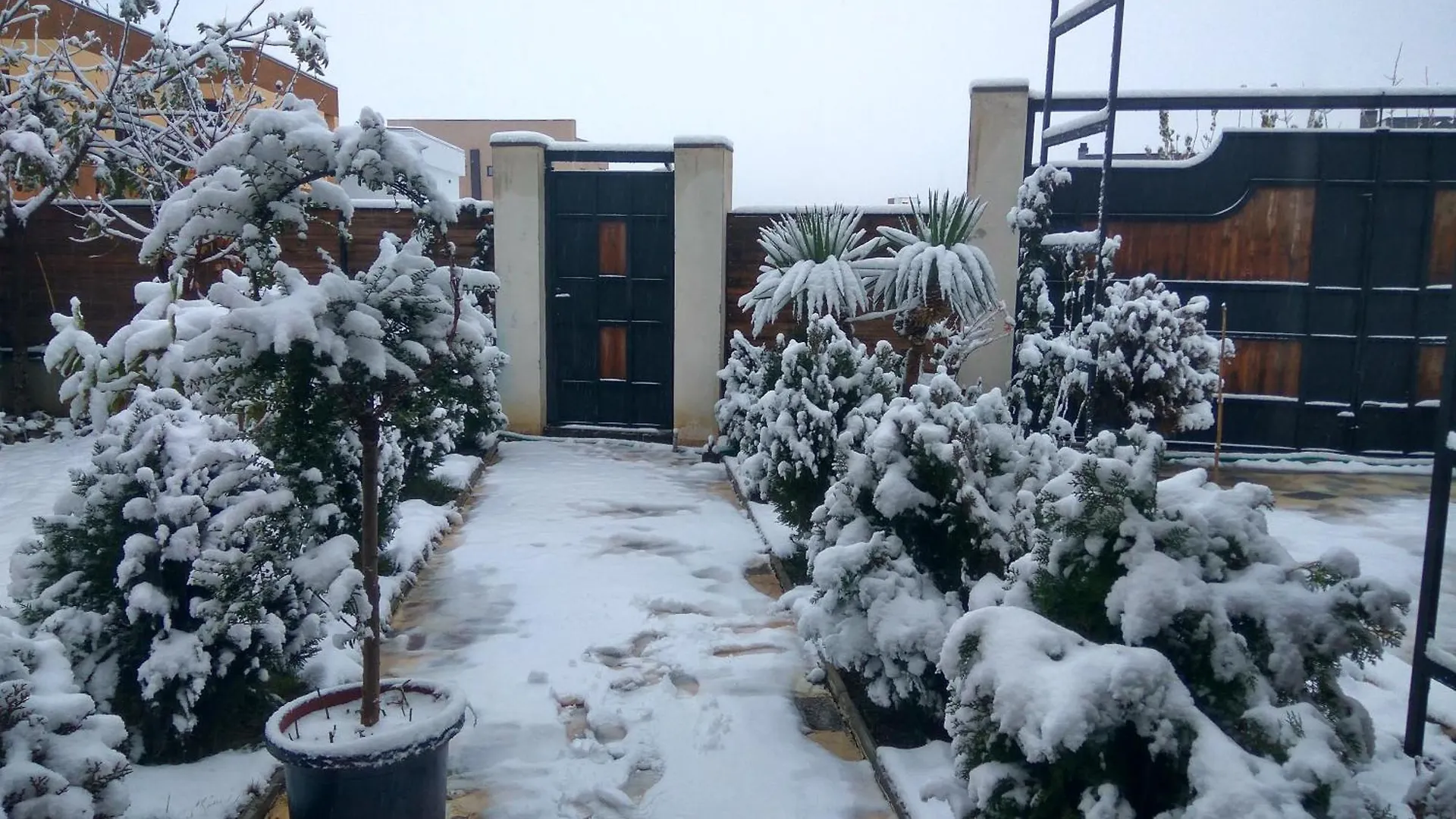 Dream Villa Tbilisi